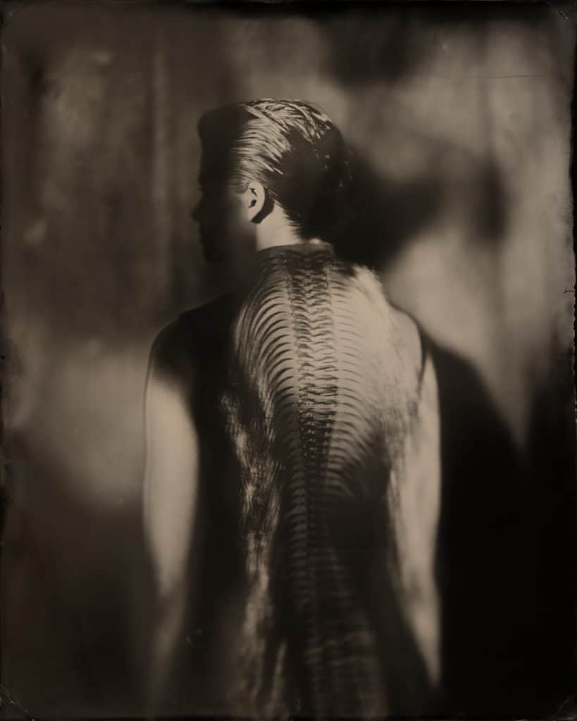 backside colbert horsehair