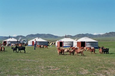 yurts on Mongolian steppe