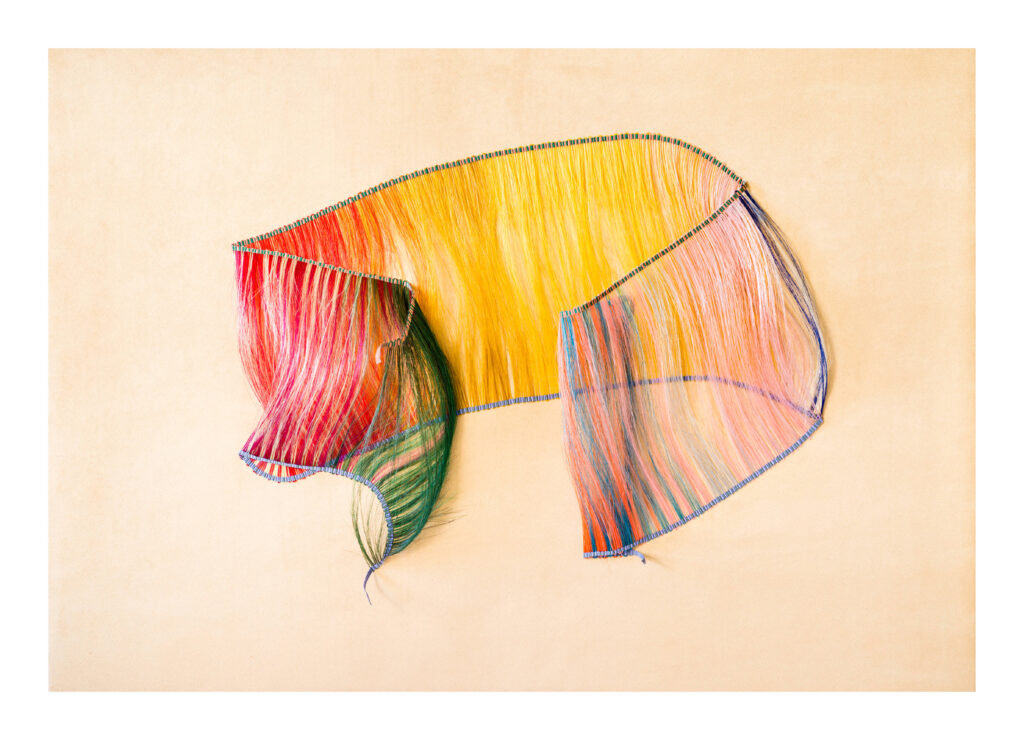 wall piece colored horsehair